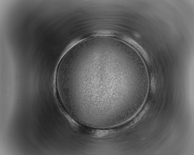 X0000087691378200705111312