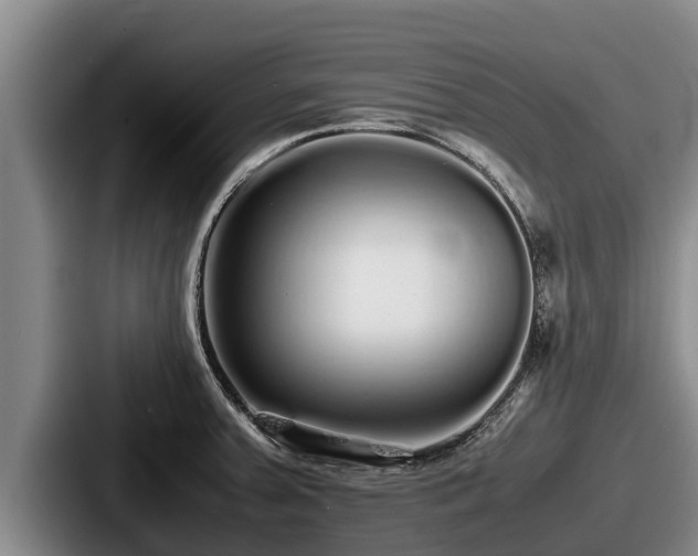 X0000087691379200705111312