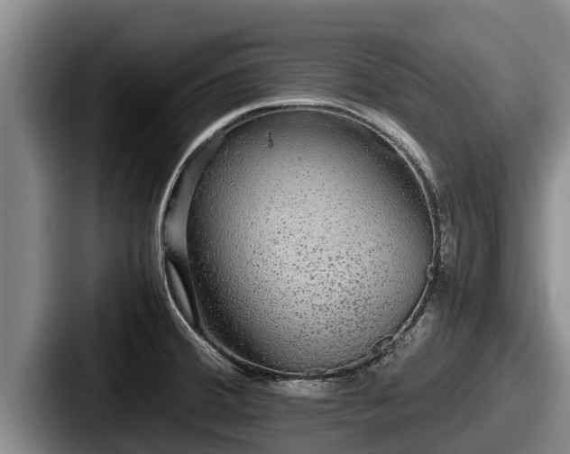X0000087691380200705111312