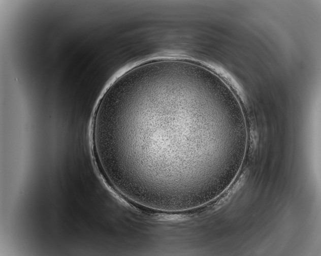 X0000087691382200705111312