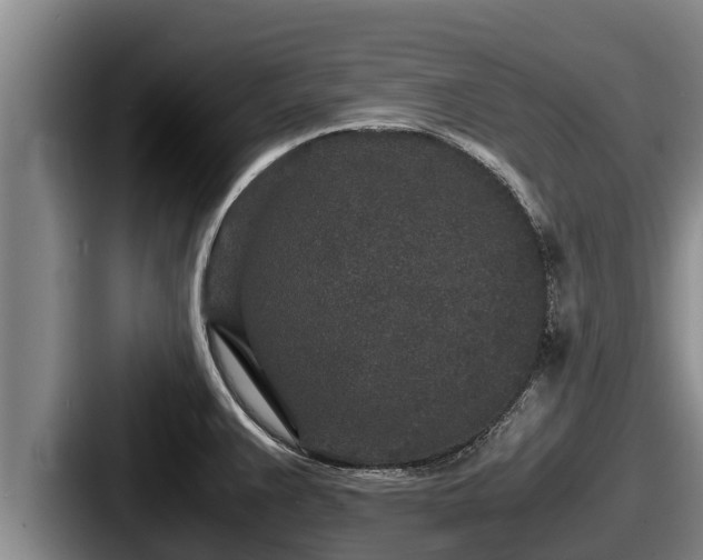X0000087691383200705111312