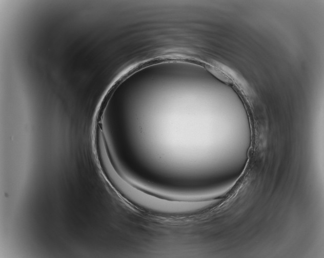 X0000087691384200705111312
