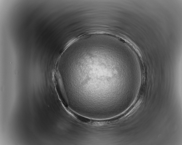 X0000087691385200705111312