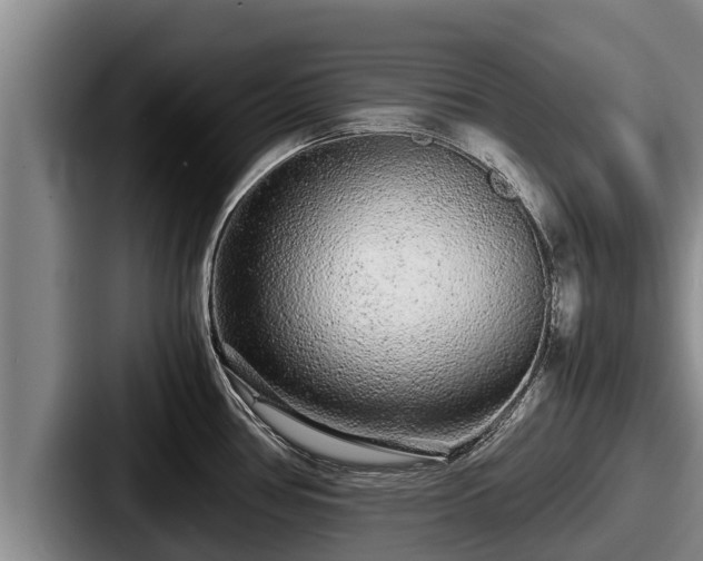 X0000087691386200705111312