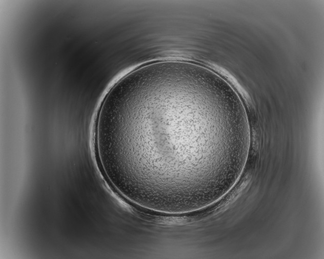 X0000087691387200705111312