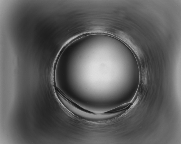X0000087691388200705111312