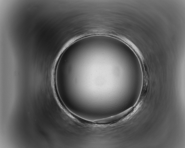 X0000087691389200705111312