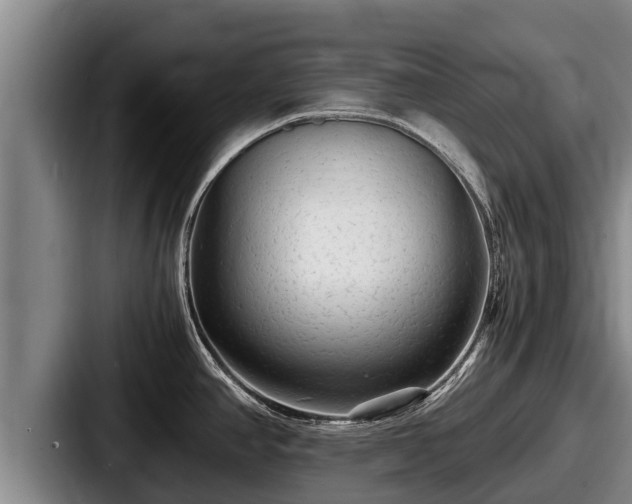 X0000087691390200705111312