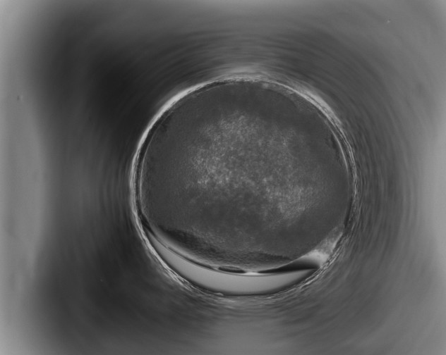 X0000087691392200705111312