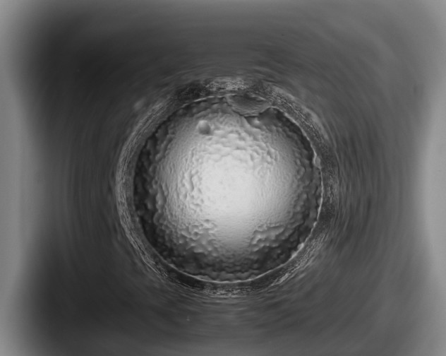 X0000087691393200705111311