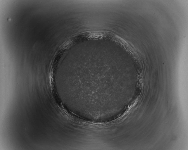X0000087691394200705111311