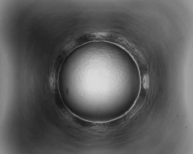 X0000087691395200705111311