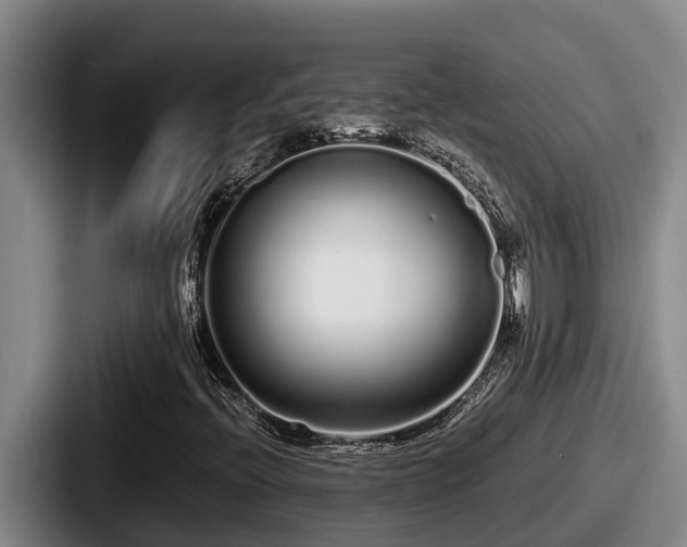 X0000087691396200705111311