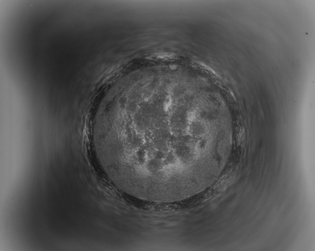 X0000087691397200705111311