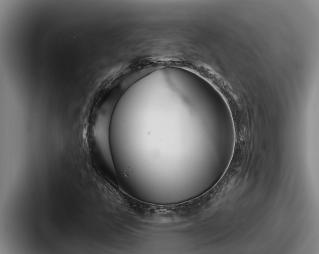 X0000087691398200705111311
