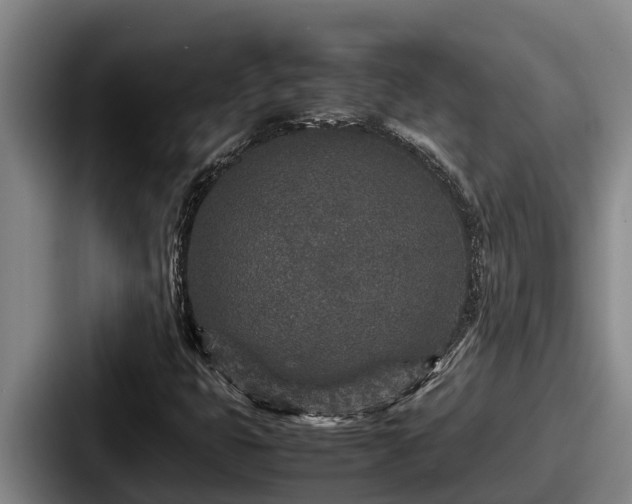 X0000087691399200705111311