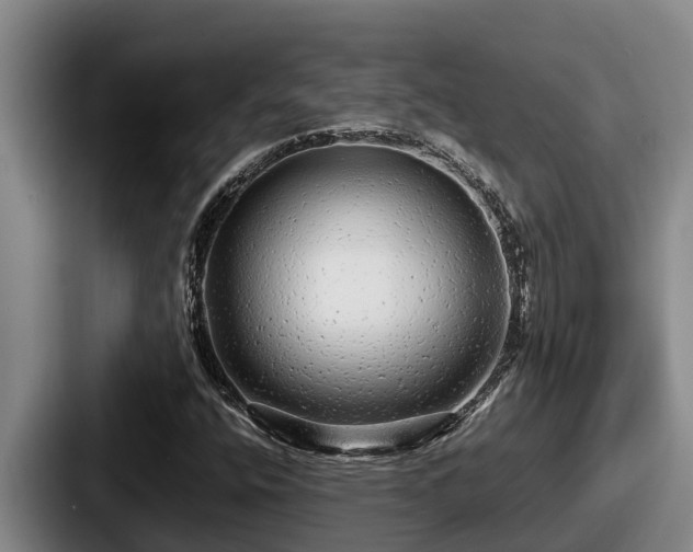 X0000087691400200705111311