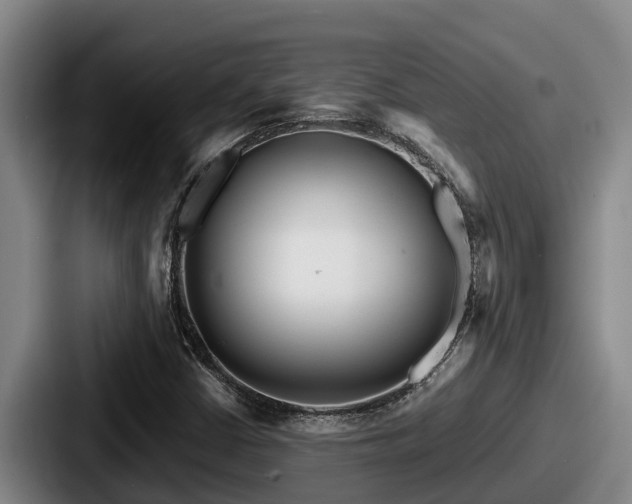X0000087691402200705111311