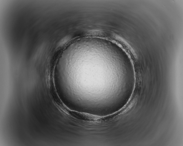 X0000087691403200705111311