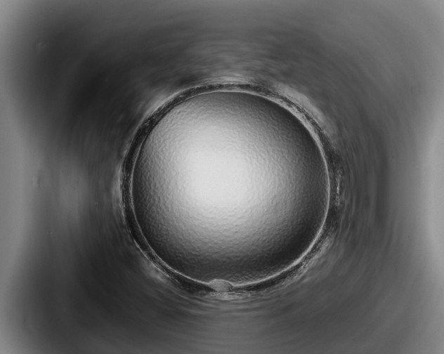 X0000087691404200705111311