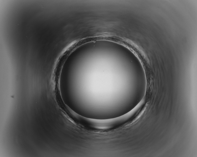 X0000087691406200705111311