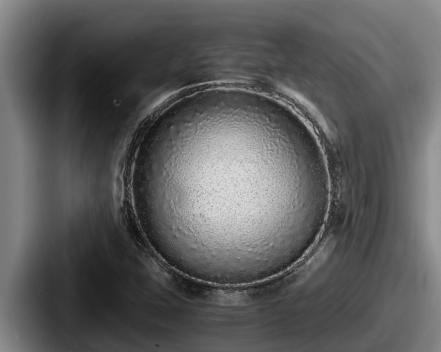 X0000087691407200705111311