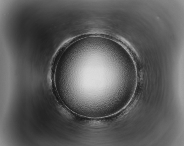 X0000087691408200705111311