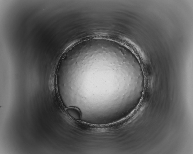 X0000087691409200705111311