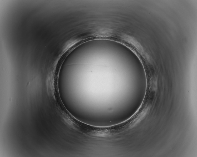 X0000087691410200705111311