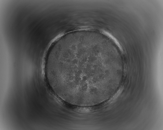 X0000087691411200705111311