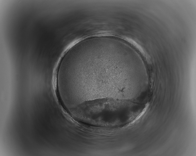X0000087691413200705111311
