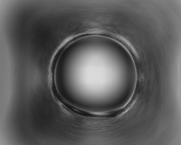 X0000087691414200705111311