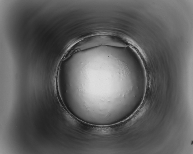 X0000087691417200705111311