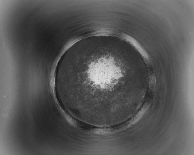 X0000087691418200705111311