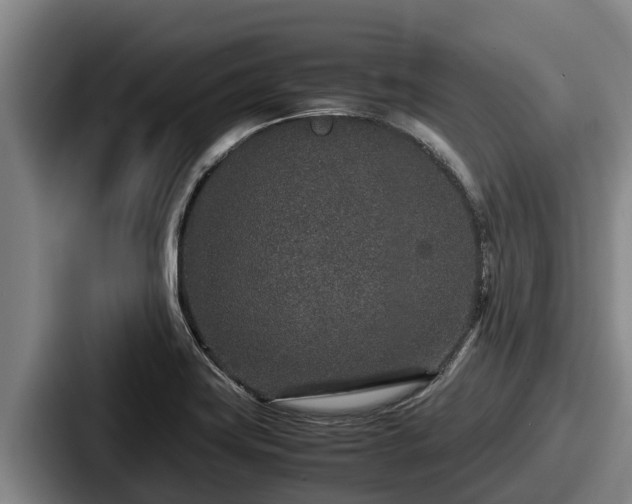 X0000087691419200705111311