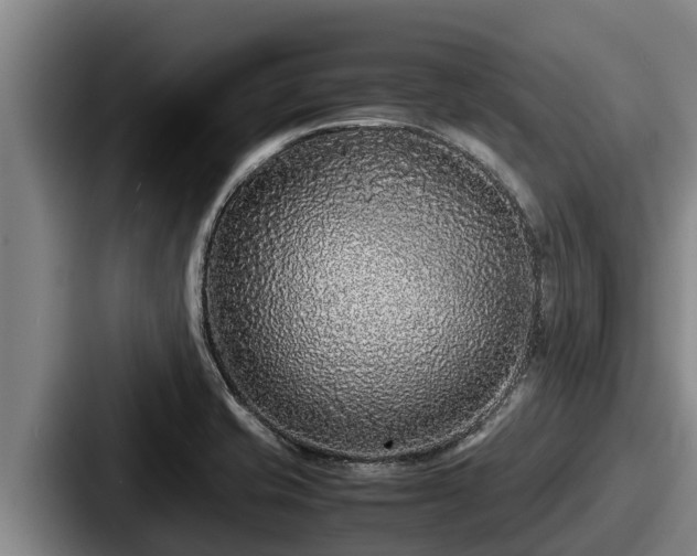 X0000087691421200705111311