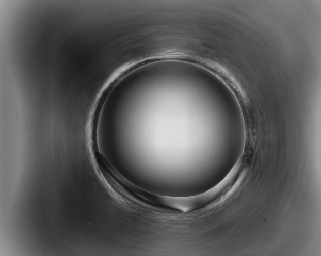 X0000087691422200705111311