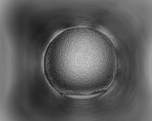 X0000087691423200705111311