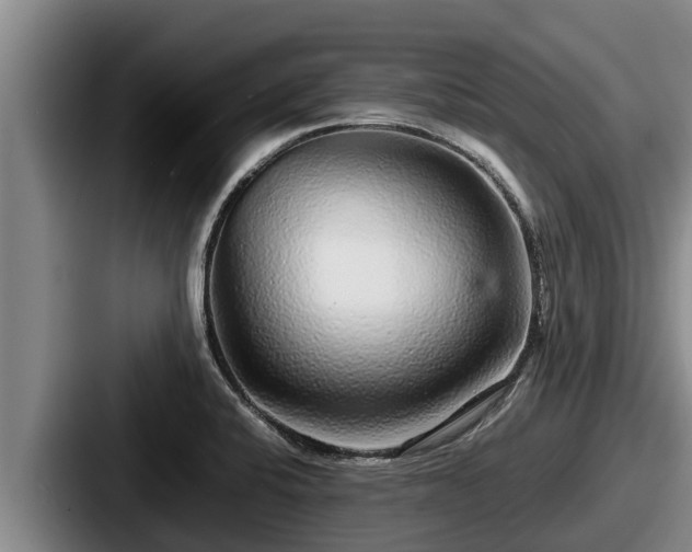 X0000087691424200705111311
