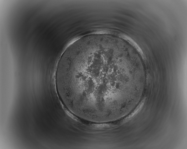 X0000087691425200705111311