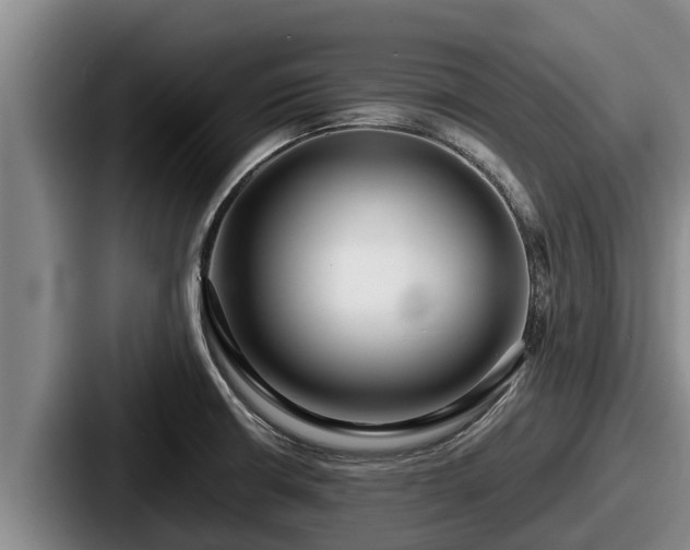 X0000087691426200705111311