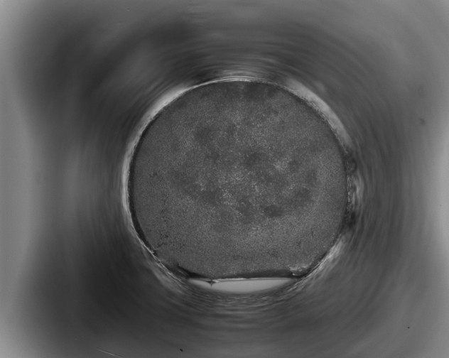 X0000087691427200705111311