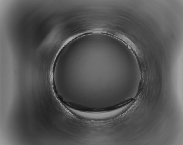 X0000087691428200705111311