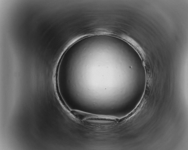 X0000087691431200705111311