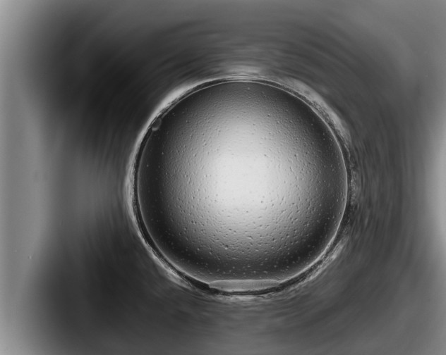 X0000087691432200705111311