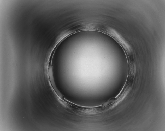 X0000087691434200705111311