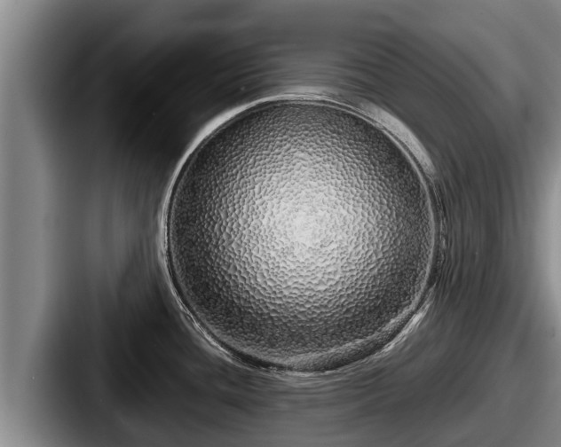 X0000087691436200705111311