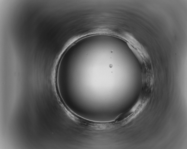 X0000087691438200705111311