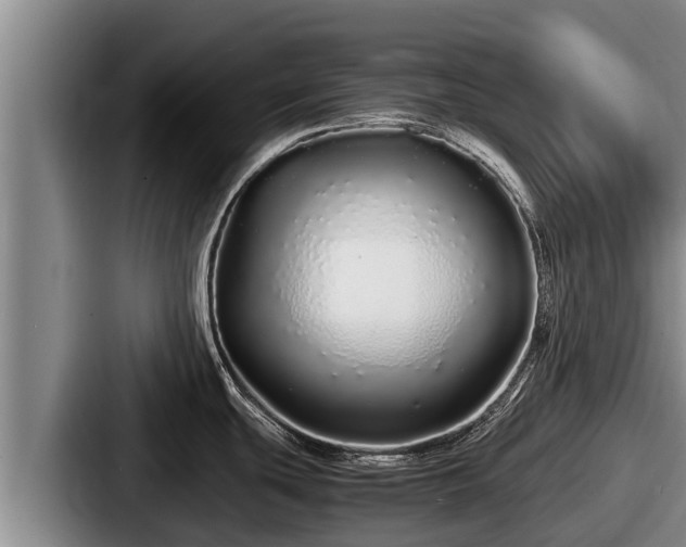 X0000087691439200705111311