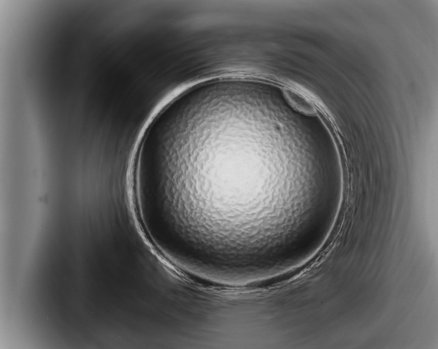 X0000087691440200705111311